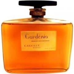 Gardénia