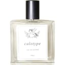 Calotype