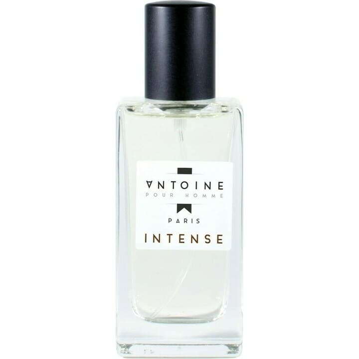 Antoine Intense