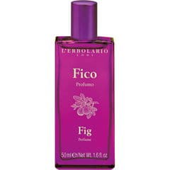 Fico / Fig