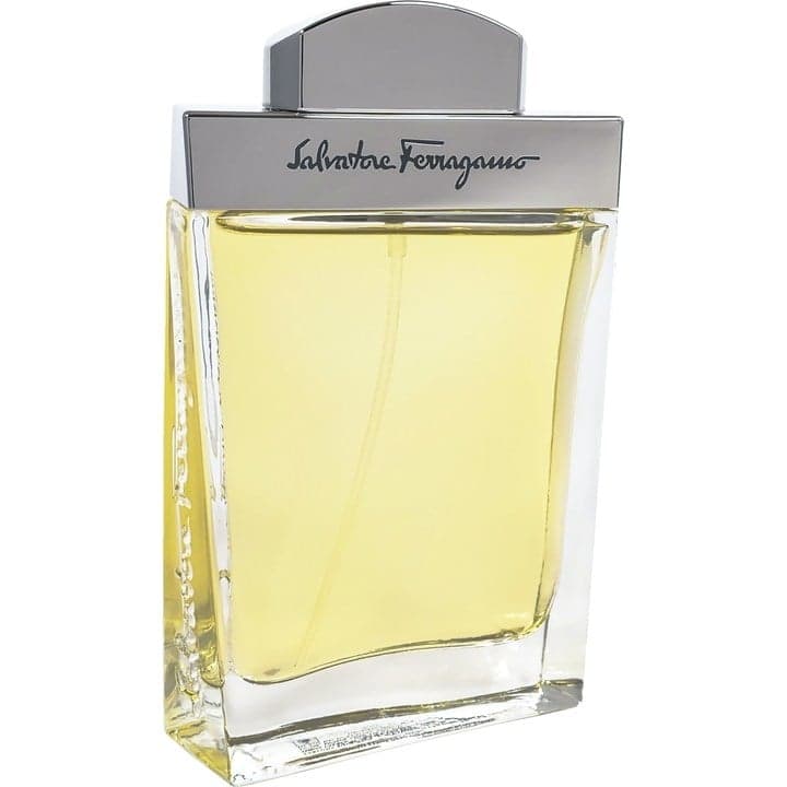 Salvatore Ferragamo pour Homme EDT