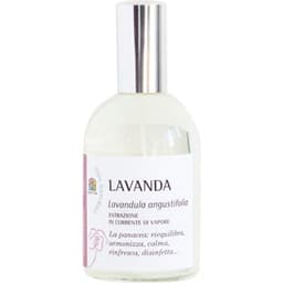 Lavanda