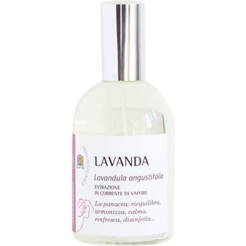 Lavanda