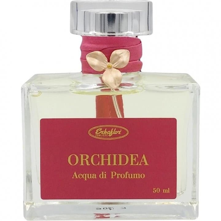 Orchidea