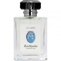 Io Capri EDT