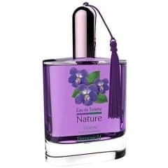 Nature - Violette