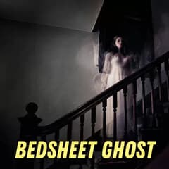 Bedsheet Ghost