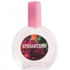 Chrysanthemum / Хризантема