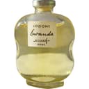 Lavanda