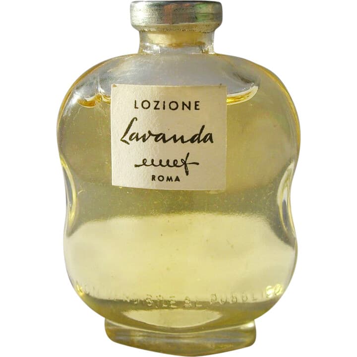 Lavanda