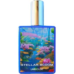 Stellar Bloom