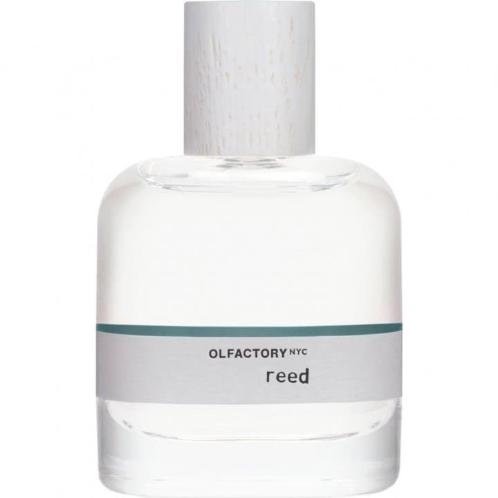 Reed by Olfactory NYC perfume bottle