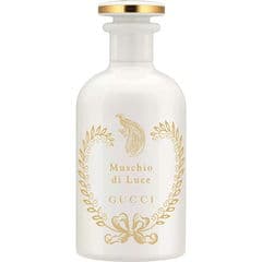 Muschio di Luce