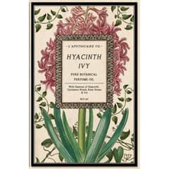 Hyacinth Ivy