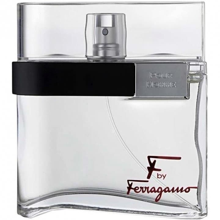 F by Ferragamo pour Homme Black EDT