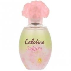 Cabotine Sakura (2017)