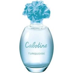 Cabotine Turquoise
