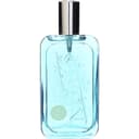 Sensual Touch x Frankie Cihi / センシュアルタッチ フランキーデザイン EDT