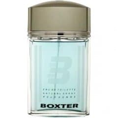 Boxter pour Homme