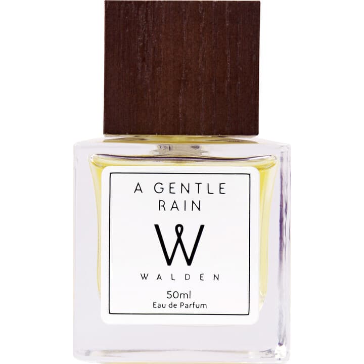 A Gentle Rain EDP