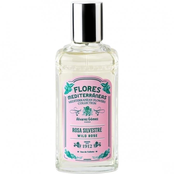 Flores Mediterráneas - Rosa Silvestre