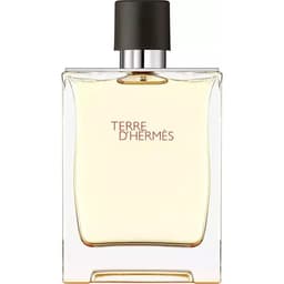 Terre d'Hermès EDT