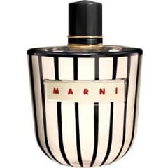 Marni Rose Luxury Edition