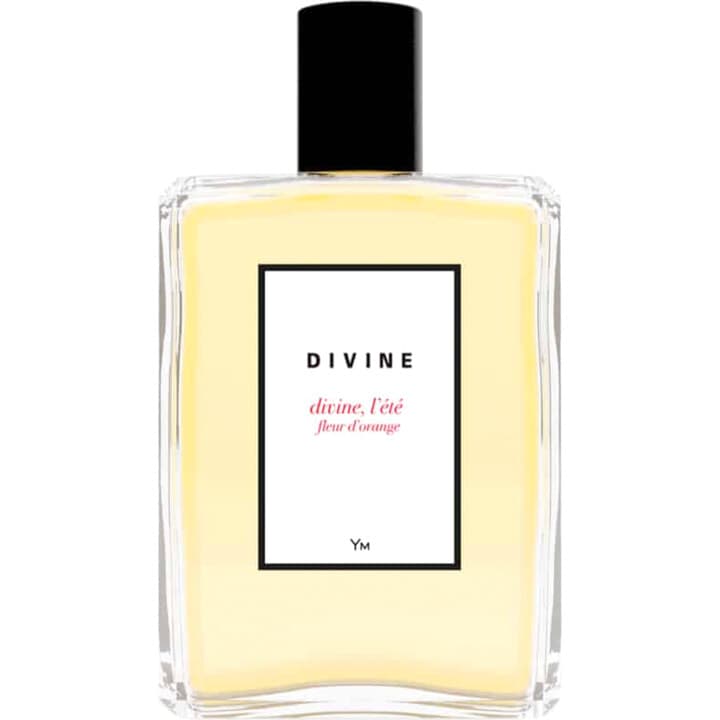 Divine, l'été fleur d'orange