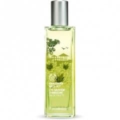 Amazonian Wild Lily EDT