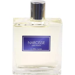 Narcisse