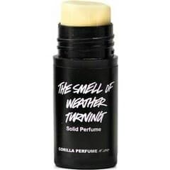 The Smell of Weather Turning (Solid Perfume)