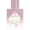 Cherry Bloom