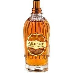 Ambre / Amber EDT