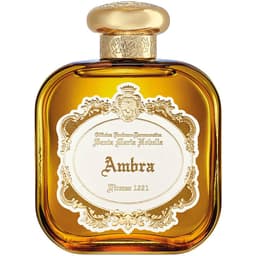 Ambra EDP