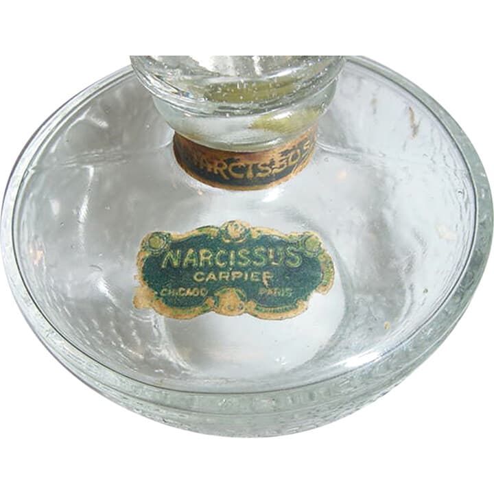 Narcissus