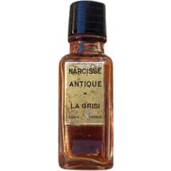 Narcisse Antique