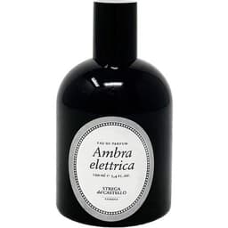 Ambra Elettrica