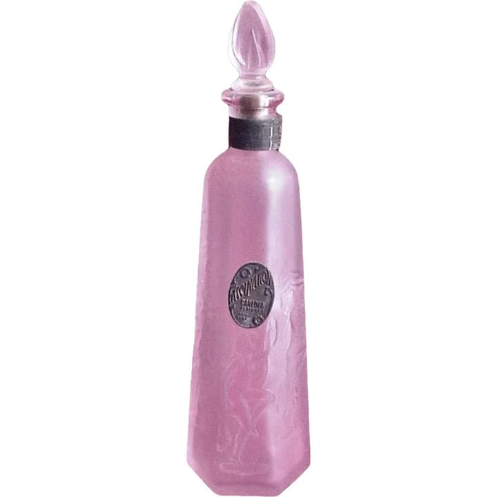 Fascination - Jasmine by Carlova Perfumer perfume bottle