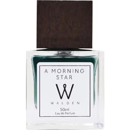 A Morning Star EDP