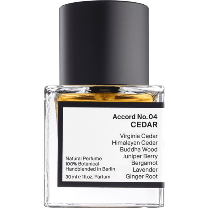 Accord No. 04: Cedar