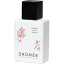 Aromatic Spices + Jasmine