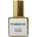 Tubéreuse