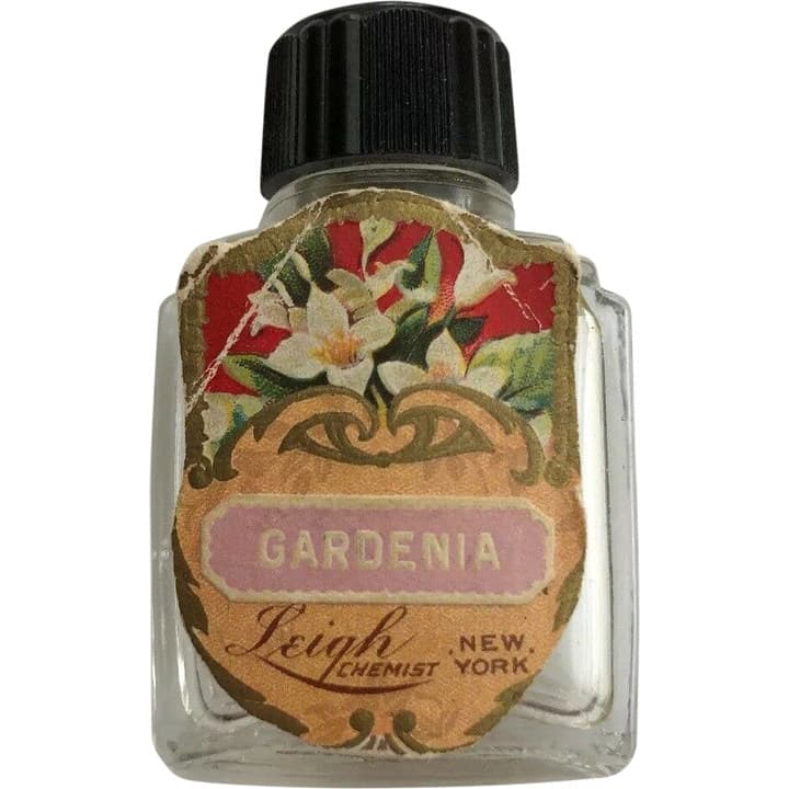 Gardenia