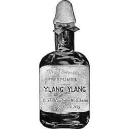 Ylang Ylang