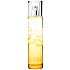Zeste de Vigne by Caudalie perfume bottle