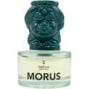 Morus