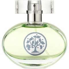 Tree of Life by Magnetix Wellness perfume bottle