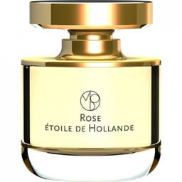 Les Nombres d'Or - Rose Etoile de Hollande