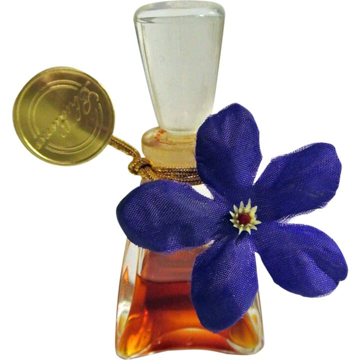 Ebullience (Perfume)