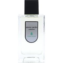 Pierre Cardin Collection - Cèdre Ambré (After Shave)